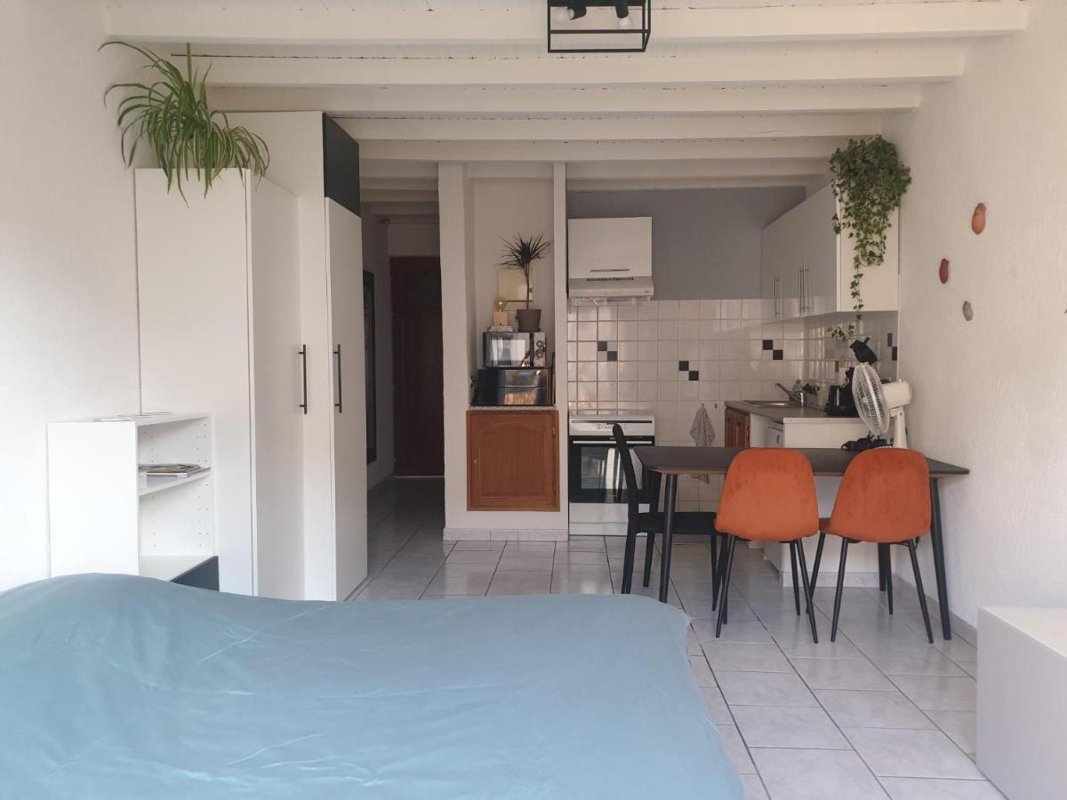 Studio Tout Confort Centre Ville - Balcon, Clim, Tv, Wifi Mazan Eksteriør bilde
